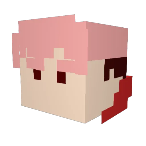 jinsanguser Minecraft avatar head, 3D render