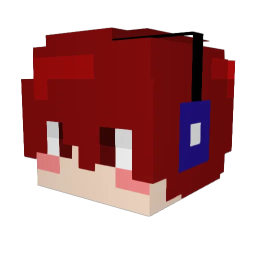 jinsun_ Minecraft avatar head, 3D render