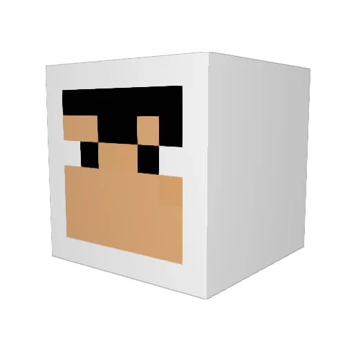 jinwoopark1107 Minecraft avatar head, 3D render
