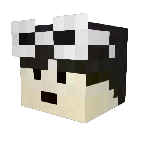 jipen0000 Minecraft avatar head, 3D render