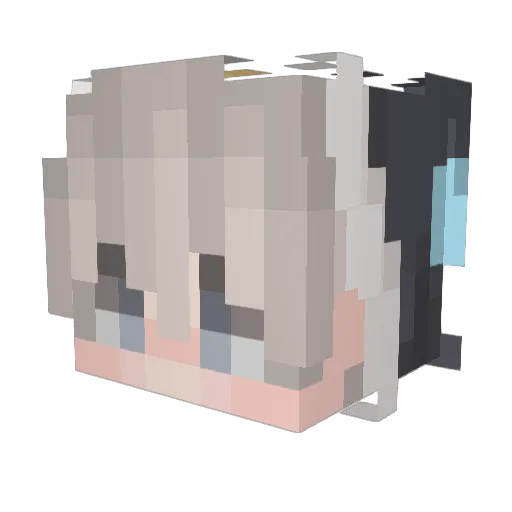 jipper14056 Minecraft avatar head, 3D render