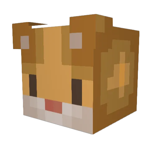 jiri_peri Minecraft avatar head, 3D render