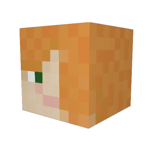 jirik_a_majda Minecraft avatar head, 3D render