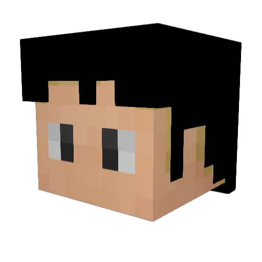 jiro208 Minecraft avatar head, 3D render