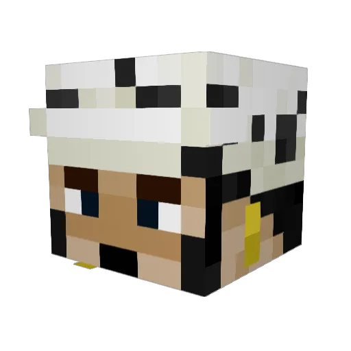 jiska1502 Minecraft avatar head, 3D render