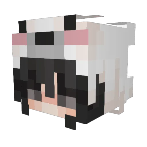 jitrs Minecraft avatar head, 3D render