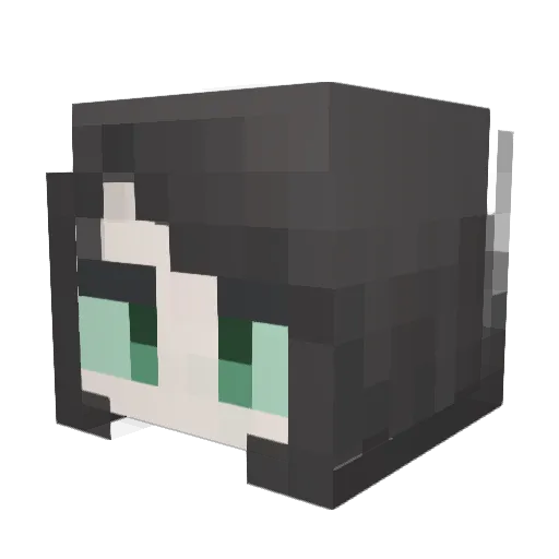 jiujing165 Minecraft avatar head, 3D render