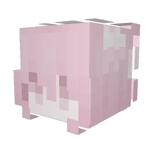 jiujiuxiao Minecraft avatar head, 3D render