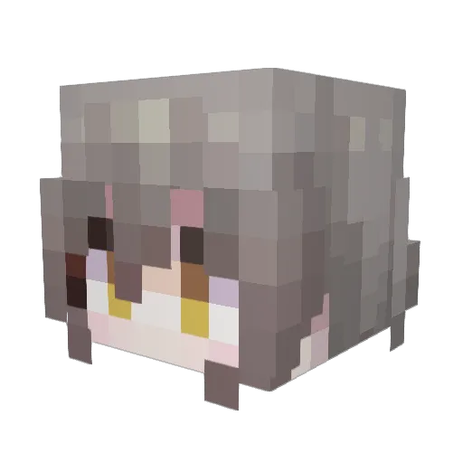 jiushun Minecraft avatar head, 3D render