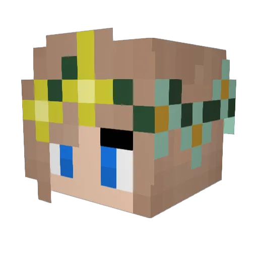 jiw14 Minecraft avatar head, 3D render