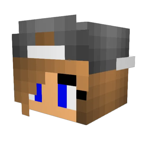 jj66554 Minecraft avatar head, 3D render