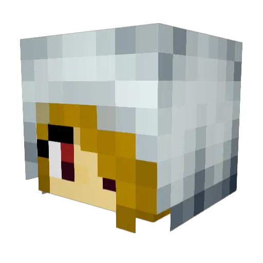 jj986544951 Minecraft avatar head, 3D render