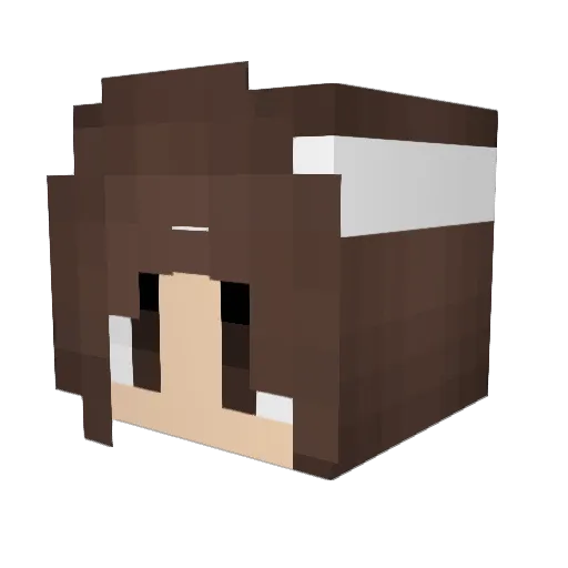 jjanaxox Minecraft avatar head, 3D render