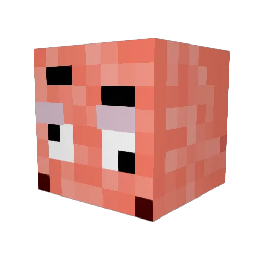 jjangus06 Minecraft avatar head, 3D render