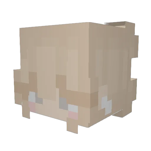 jjewells Minecraft avatar head, 3D render