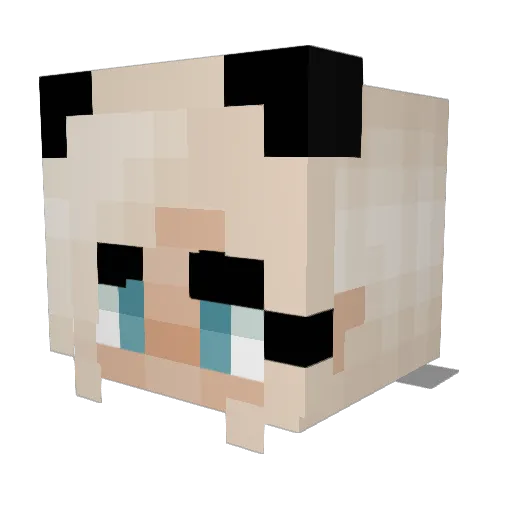 jjhbhhj Minecraft avatar head, 3D render