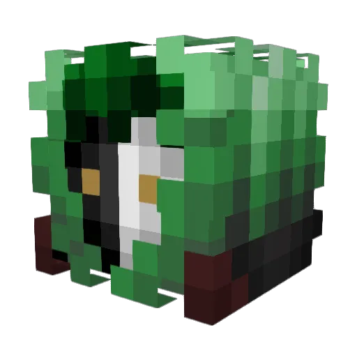 jjhope Minecraft avatar head, 3D render