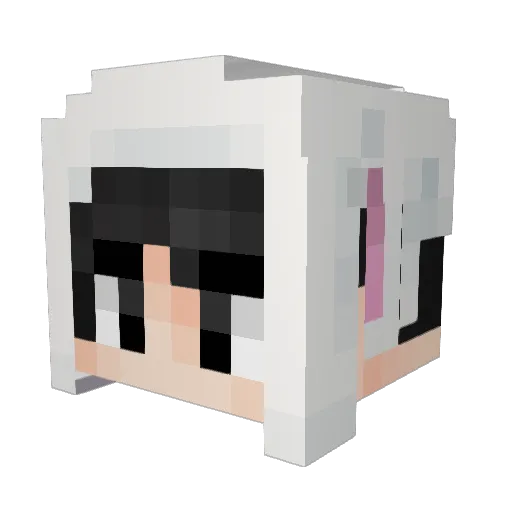 jjlee0823 Minecraft avatar head, 3D render
