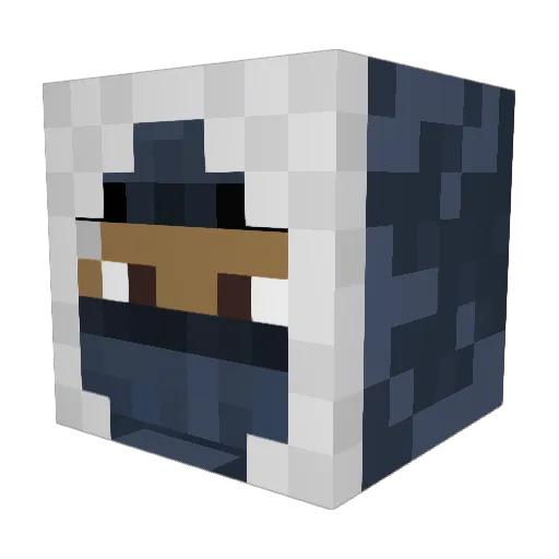 jjlew__10 Minecraft avatar head, 3D render