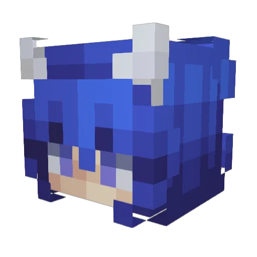 jjohnson243 Minecraft avatar head, 3D render