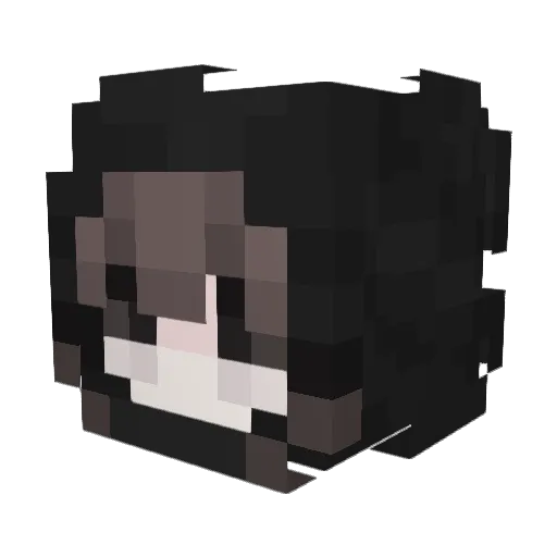 jjwcia Minecraft avatar head, 3D render