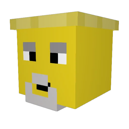 jk4y_13 Minecraft avatar head, 3D render