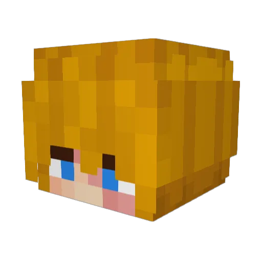 jk_jay13 Minecraft avatar head, 3D render