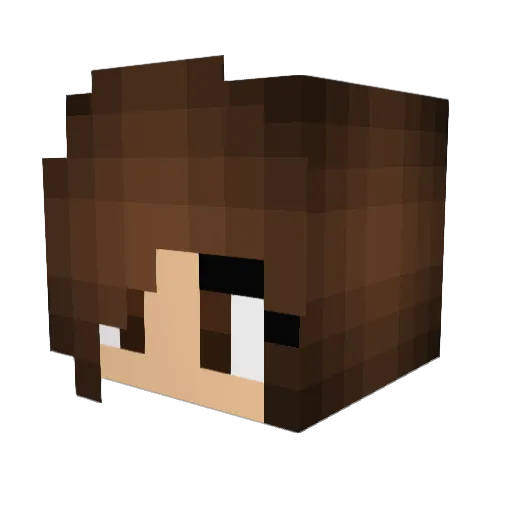 jka9 Minecraft avatar head, 3D render