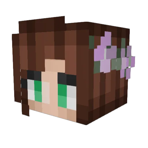 jlannon34 Minecraft avatar head, 3D render