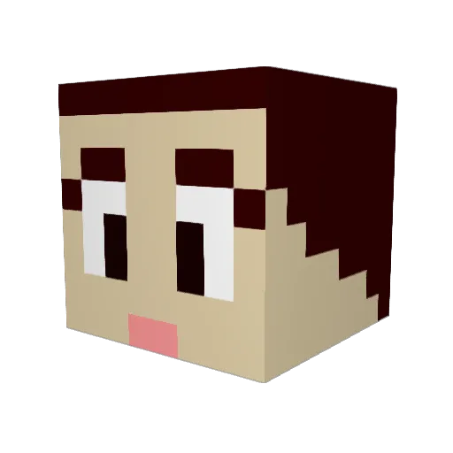 jlc629 Minecraft avatar head, 3D render