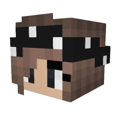 jlf7695 Minecraft avatar head, 3D render