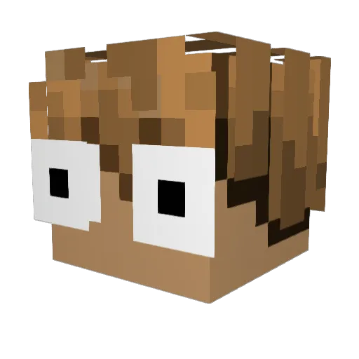 jli999 Minecraft avatar head, 3D render