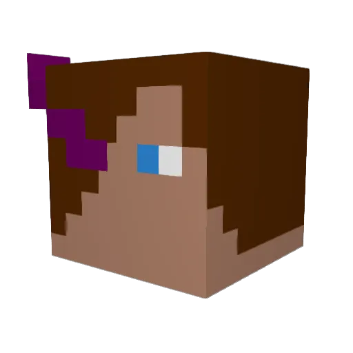 jlitt8 Minecraft avatar head, 3D render