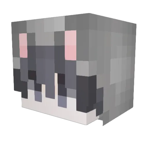 jlol123 Minecraft avatar head, 3D render