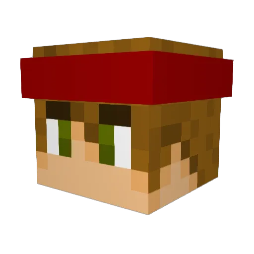 jlr2803 Minecraft avatar head, 3D render