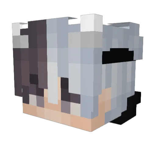 jm050927 Minecraft avatar head, 3D render