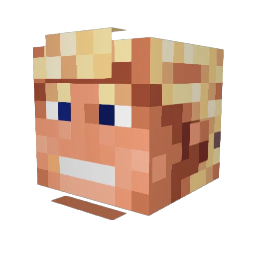 jmac0002 Minecraft avatar head, 3D render