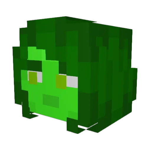 jmacindahouse Minecraft avatar head, 3D render