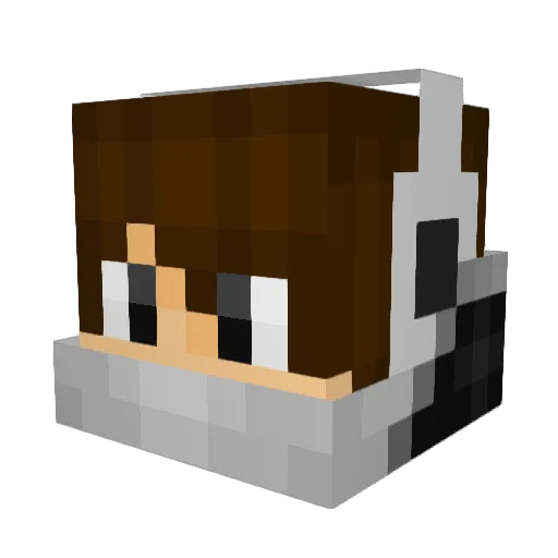 jmadness4 Minecraft avatar head, 3D render