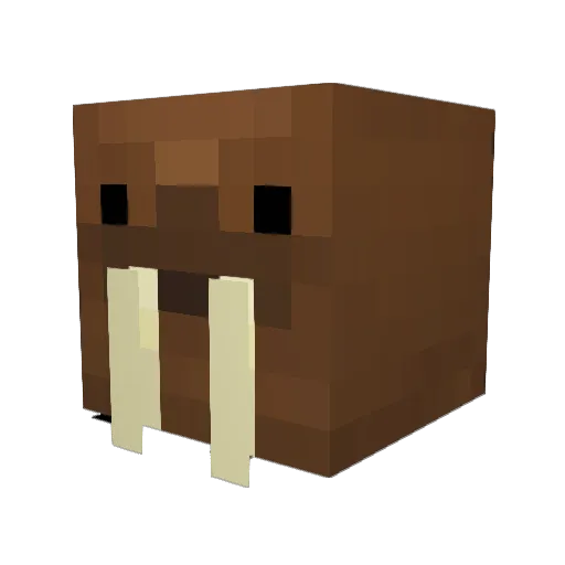 jmarshall09 Minecraft avatar head, 3D render