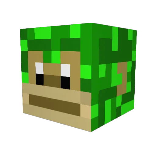 jmd3250 Minecraft avatar head, 3D render