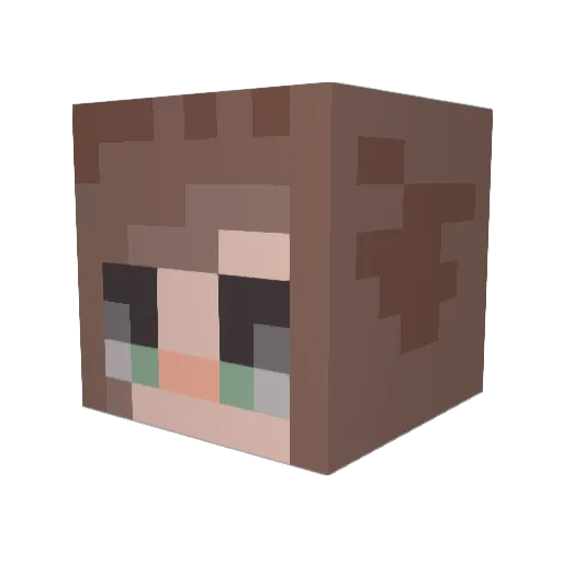 jmine81 Minecraft avatar head, 3D render