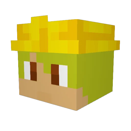 jmolly99 Minecraft avatar head, 3D render