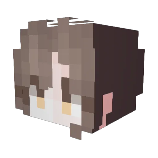 jmoon18 Minecraft avatar head, 3D render