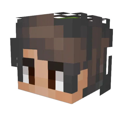 jmr055 Minecraft avatar head, 3D render