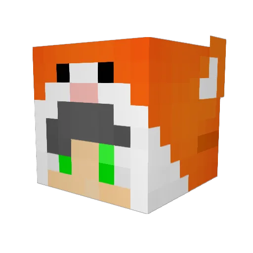jms4770 Minecraft avatar head, 3D render