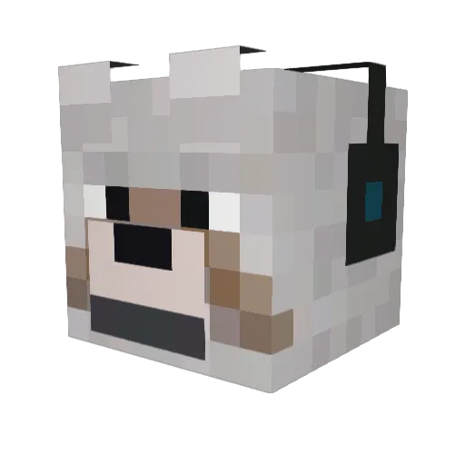jmurtg Minecraft avatar head, 3D render