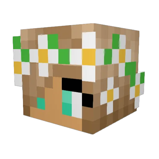 jmw999 Minecraft avatar head, 3D render