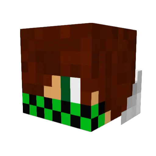 jnks2001 Minecraft avatar head, 3D render