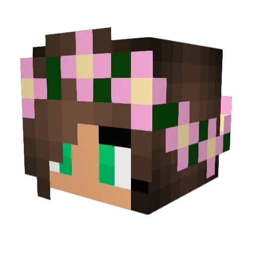 jnnfr282 Minecraft avatar head, 3D render